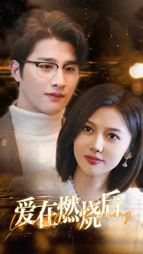 爱在燃烧后（36集全）-紫橙资源网