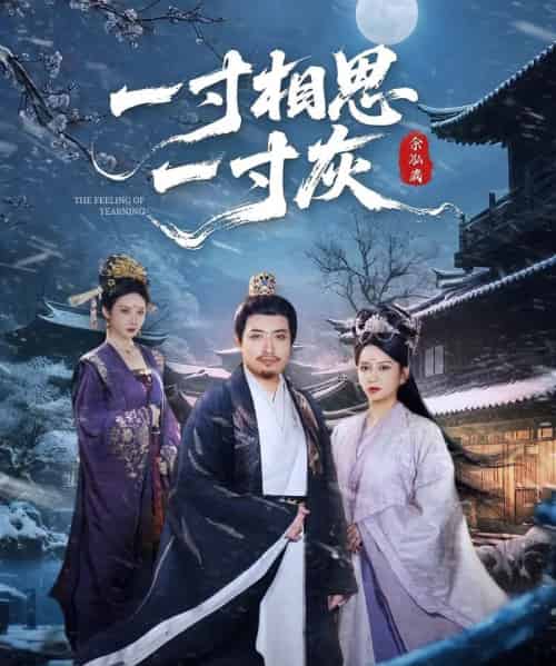 一寸相思一寸灰（60集）-紫橙资源网