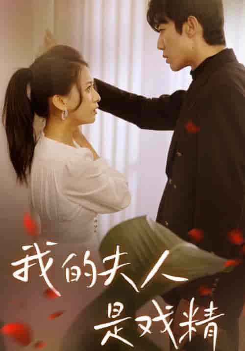 我的夫人是戏精（64集）-紫橙资源网