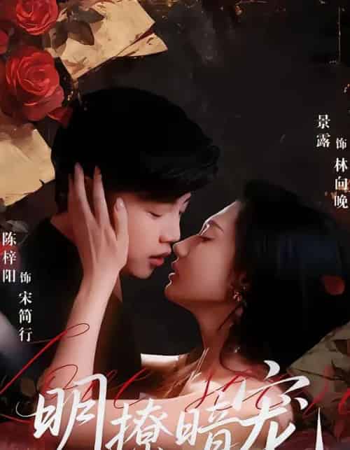 明撩暗宠（60集全）陈梓阳＆景露-紫橙资源网