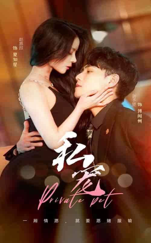 私宠（94集）谢予望 赵慕颜-紫橙资源网