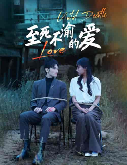至死不渝的爱(80集全)-紫橙资源网