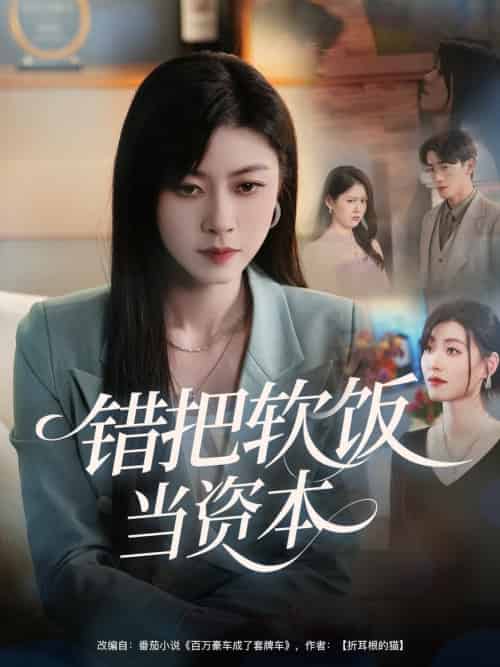 错把软饭当资本(60集全)孙茂峰&诸玲颖-紫橙资源网