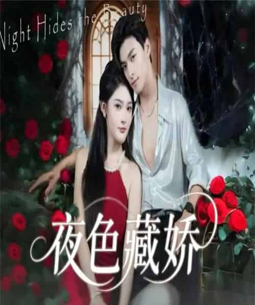夜色藏娇(65集全)范瑞恒&王知煜-紫橙资源网
