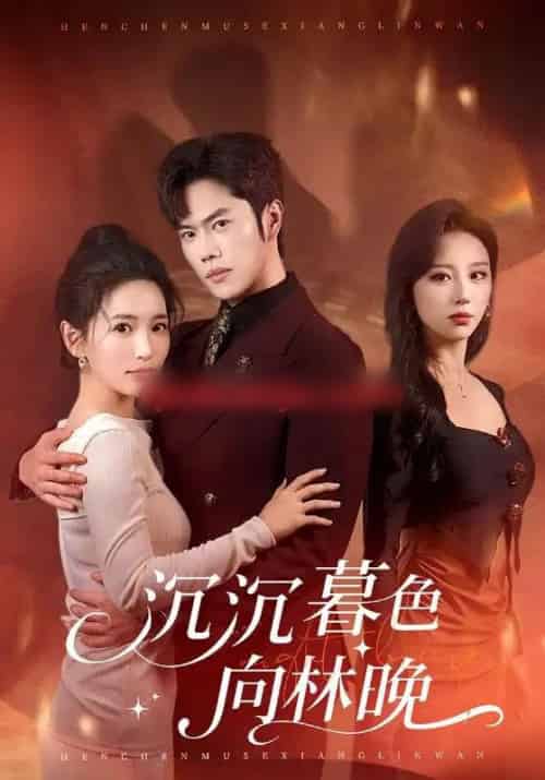 沉沉暮色向林晚（60集全）聂子轩＆李雪莹-紫橙资源网