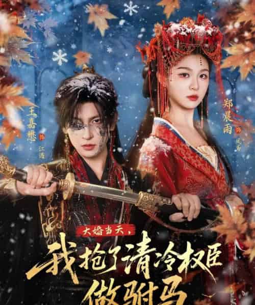 大婚当天，我抢了清冷权臣做驸马（73集全）王嘉懋＆郑晨雨-紫橙资源网