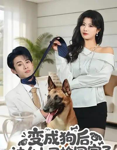 变成狗后，被女上司捡回家了（57集全）夏已傲＆黄宁馨-紫橙资源网
