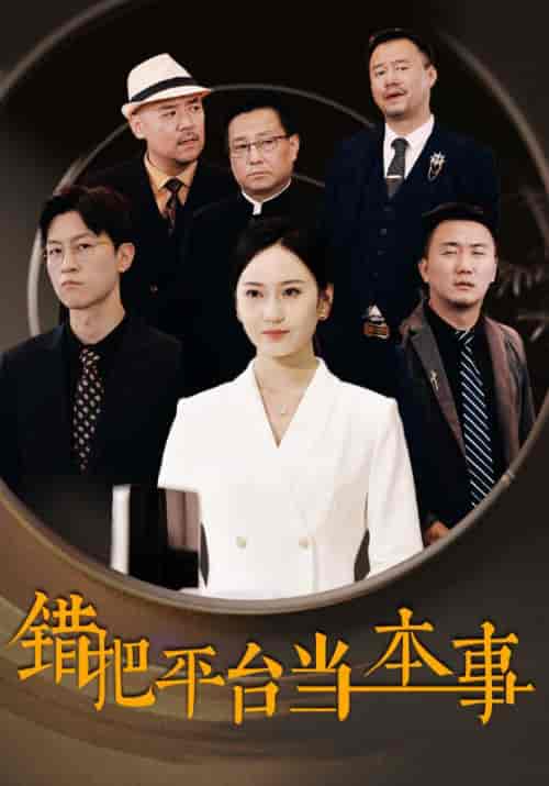 错把平台当本事（31集全）-紫橙资源网