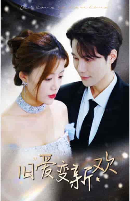 旧爱变新欢(94集)-紫橙资源网