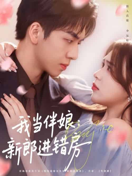 我当伴娘新郎进错房（94集全）葛兆恩＆刘彦廷-紫橙资源网