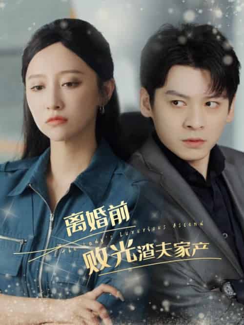 离婚前败光渣夫家产（100集全）莫成澜＆江金澄-紫橙资源网