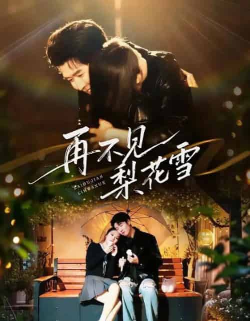 再不见梨花雪＆问夏碎梦（70集全）王裕博＆陈酉昔-紫橙资源网