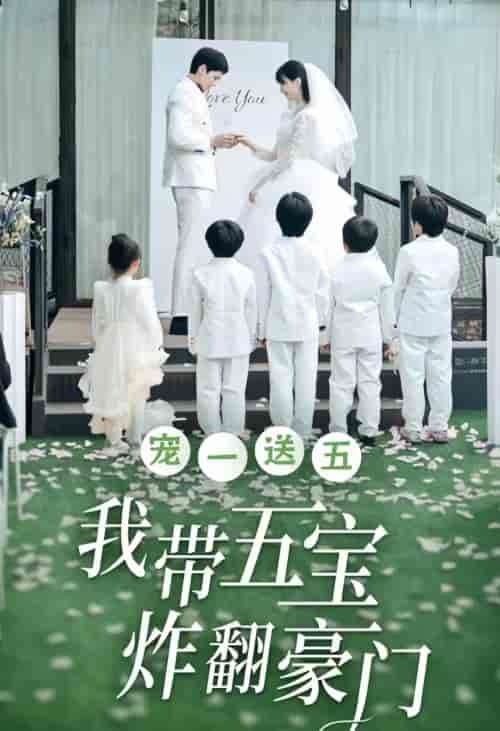 宠一送五，我带五宝炸翻豪门（80集）-紫橙资源网