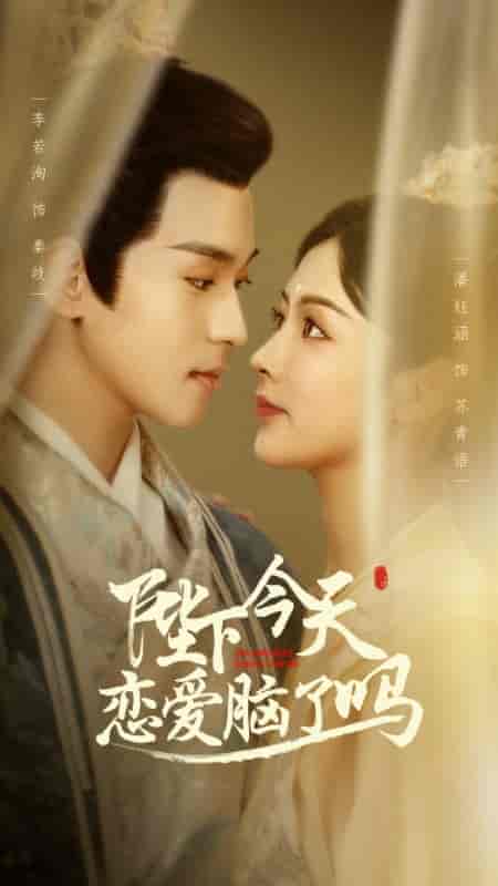 陛下今天恋爱脑了吗（97集）-紫橙资源网