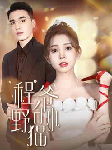 程爷的小野猫(40集)-紫橙资源网