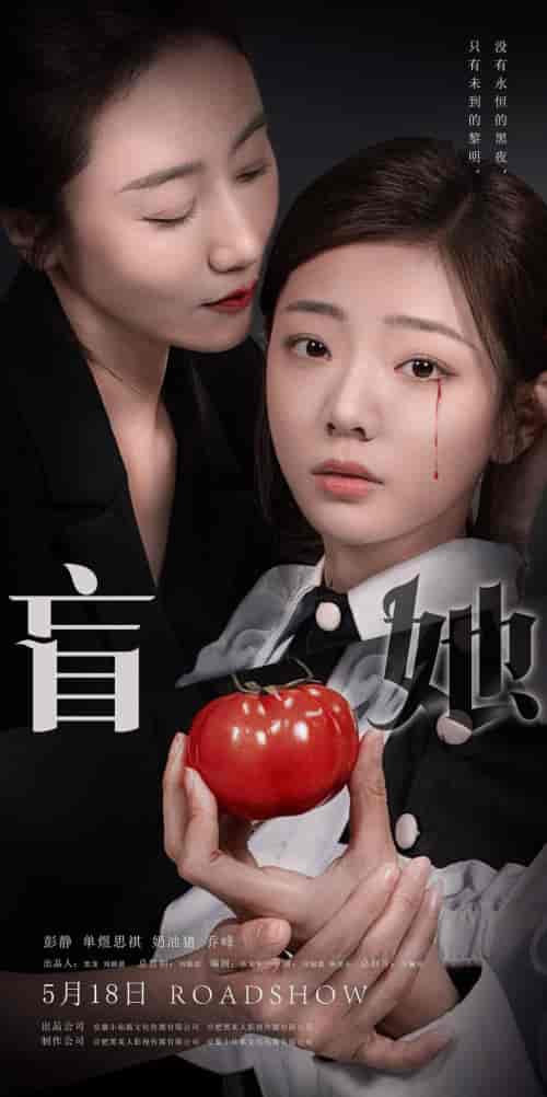 盲她（76集） - 紫橙短剧