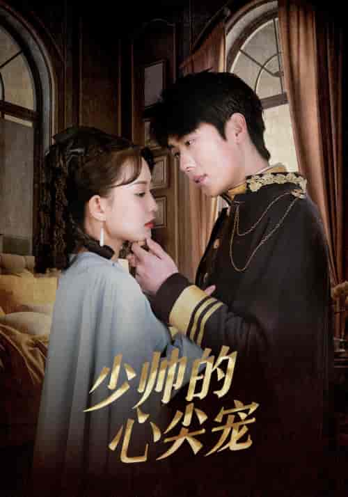 少帅的心尖宠(85集)-紫橙资源网