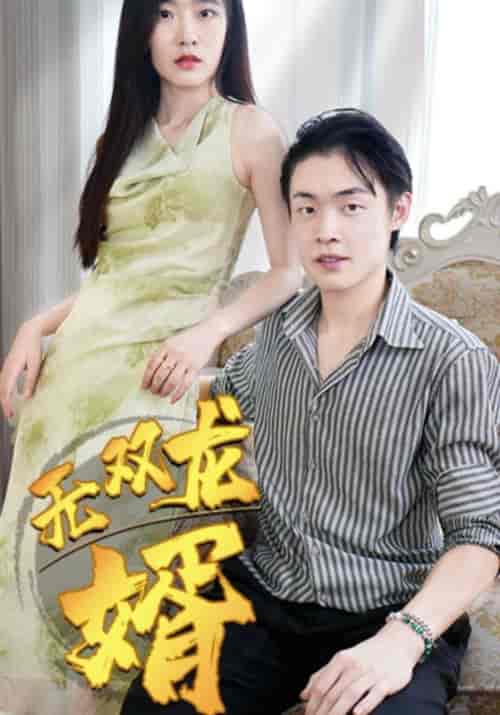 无双龙婿（104集全）萧千寻＆苏笑笑-紫橙资源网