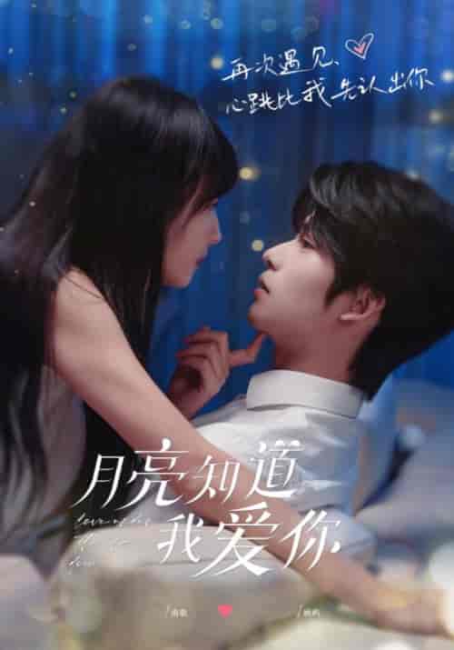 月亮知道我爱你（62集全）顾屿＆南歌-紫橙资源网