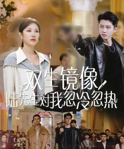 双生镜像陆先生对我忽冷忽热（61集）-紫橙资源网