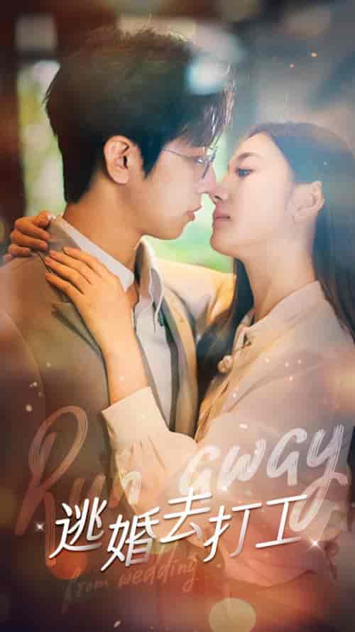 逃婚去打工（65集）-紫橙资源网