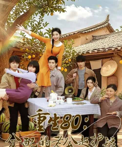 重生80:分配的老公超护短(66集全)庞博&刘静阳-紫橙资源网