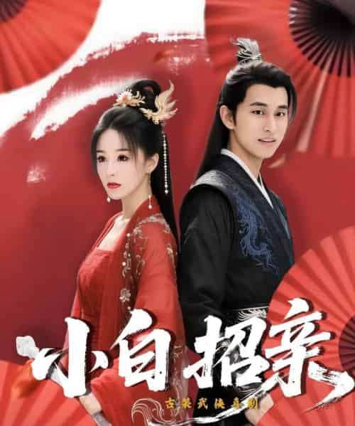 小白招亲（78集）菲儿-紫橙资源网