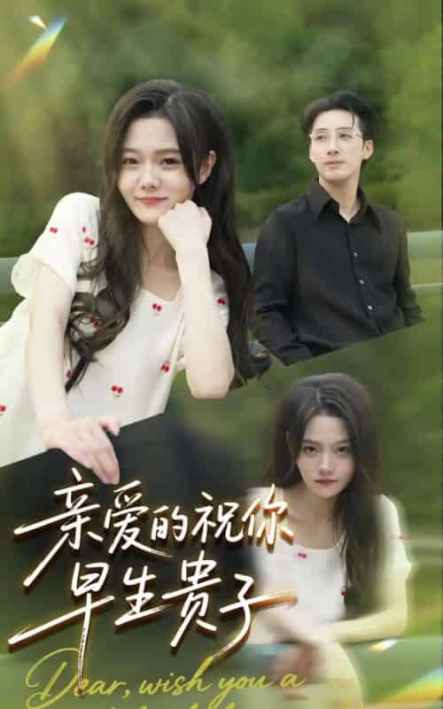亲爱的你祝你早生贵子(87集全)张欧文&刘安歌-紫橙资源网