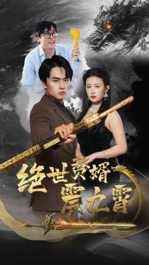 绝世赘婿震九州（78集）-紫橙资源网