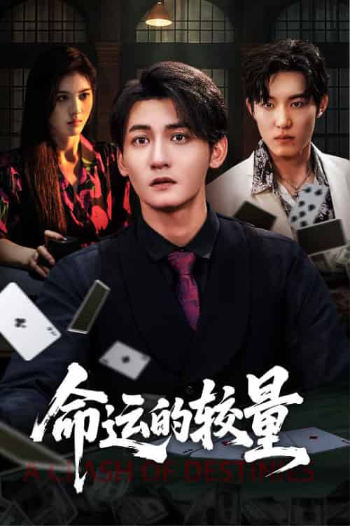 命运的较量（60集全）王子岳＆朱梦茹-紫橙资源网