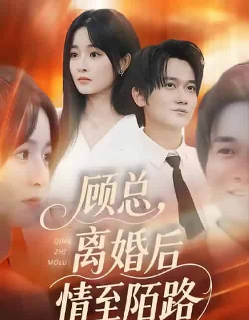 顾总，离婚后情至陌路（62集全）吴鑫＆顾嘉川＆张天维-紫橙资源网