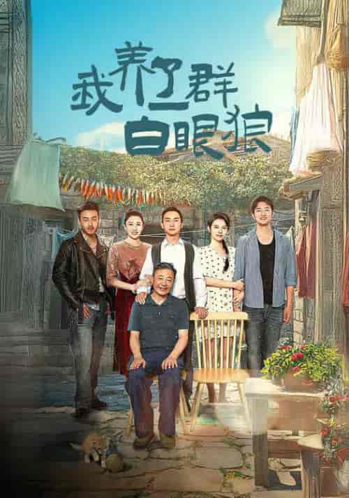 我养了一群白眼狼＆家家有本难念的经（34集全）-紫橙资源网