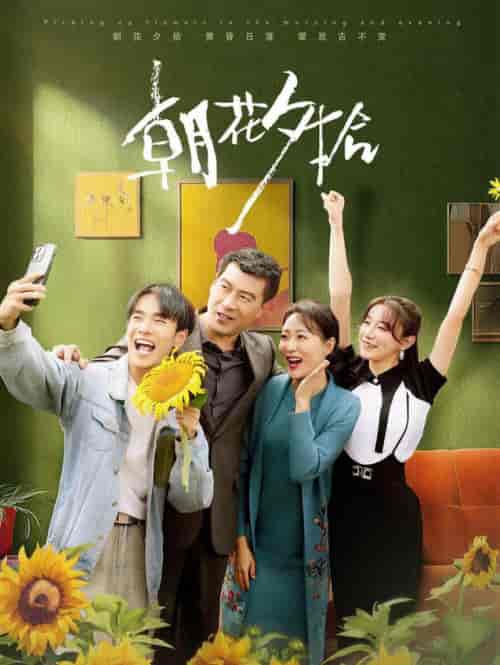 朝花夕拾(50集全)马铭婕-紫橙资源网