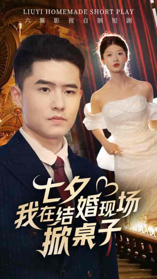 七夕我在结婚现场掀桌子（81集）-紫橙资源网