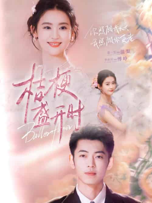 桔梗盛开时＆她的小桔梗（92集全）李泉成＆翟一莹-紫橙资源网