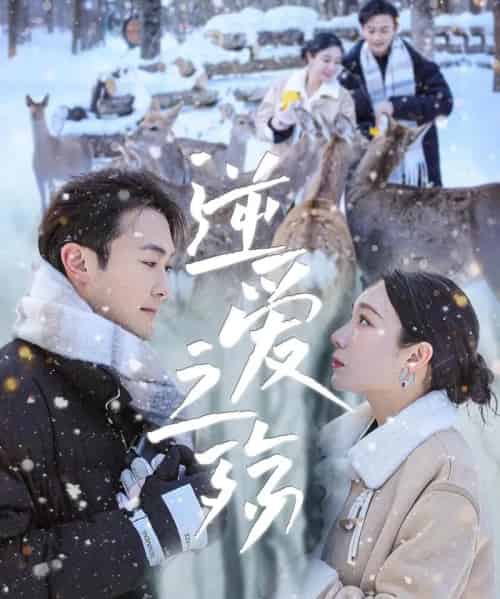 逆爱之殇（60集）吴帆＆安安-紫橙资源网