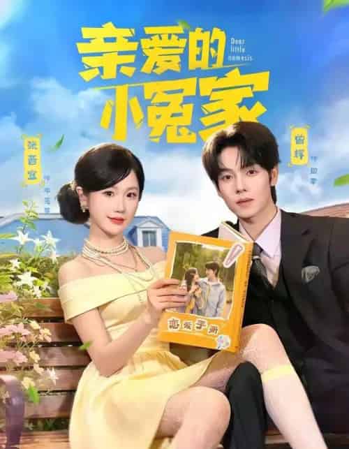 亲爱的小冤家（80集全）曾辉＆张晋宜-紫橙资源网