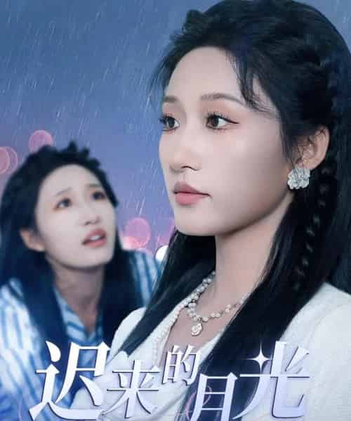 迟来的月光（62集）-紫橙资源网