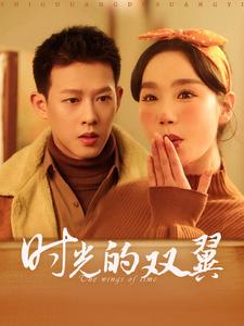 时光的双翼（94集全）柴昊辰＆张诗媛-紫橙资源网