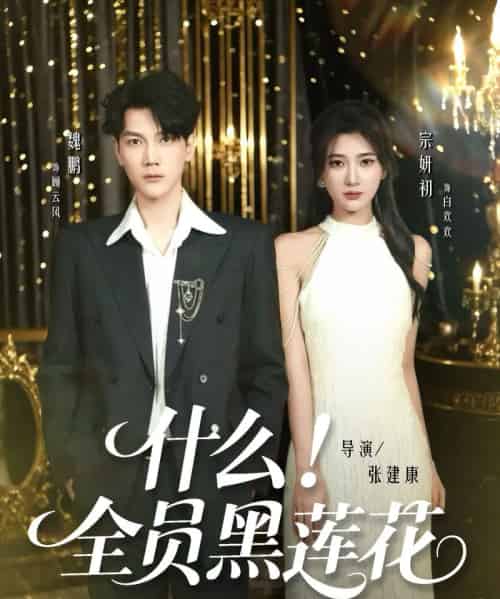 什么！全员黑莲花（60集全）魏鹏＆宗妍初-紫橙资源网