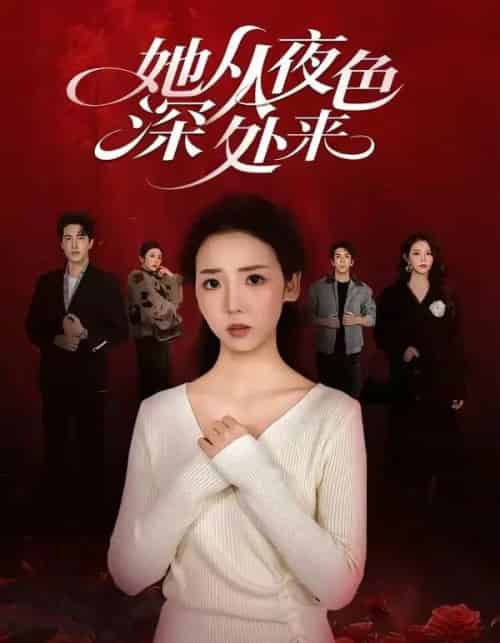 她从夜色深处来（62集全）李海蒂＆刘小龙-紫橙资源网