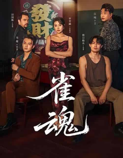 雀魂（60集全）申芳赫＆敖日格乐-紫橙资源网