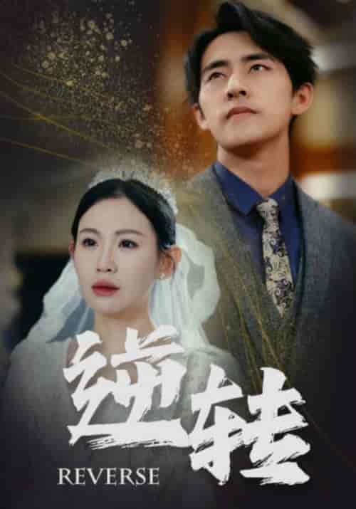 逆转（100集）赵珞姿＆维尼-紫橙资源网
