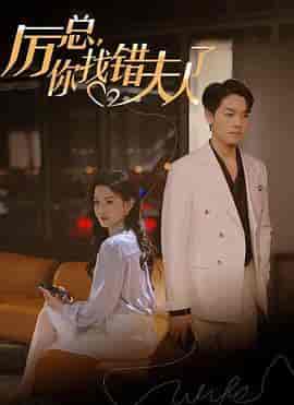 厉总,你找错夫人了(103集)-紫橙资源网