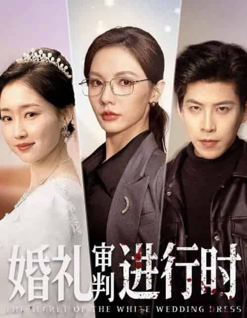 婚礼审判进行时（62集全）王为洋＆倪若芸-紫橙资源网