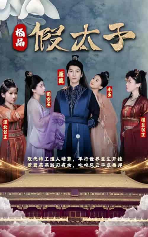 极品假太子（100集）-紫橙资源网