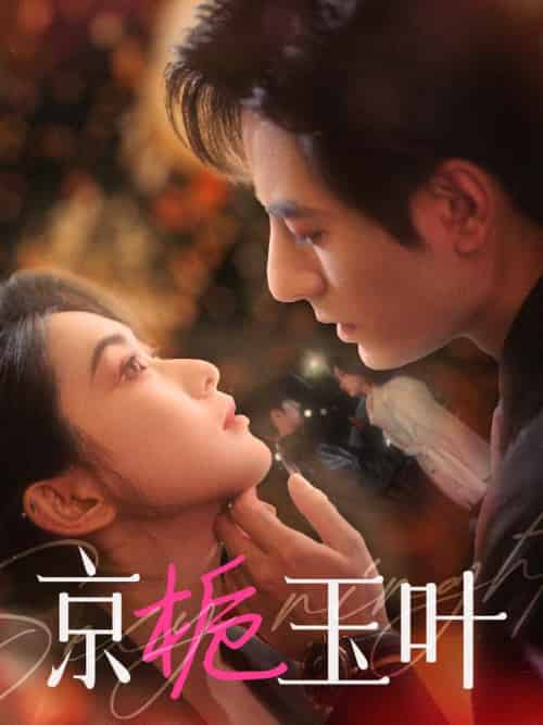 京栀玉叶(85集全)李豪&崔十一-紫橙资源网