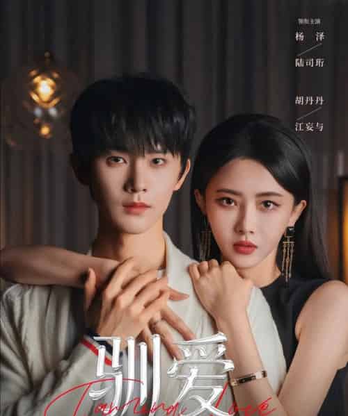 驯爱（80集全）杨泽＆胡丹丹-紫橙资源网