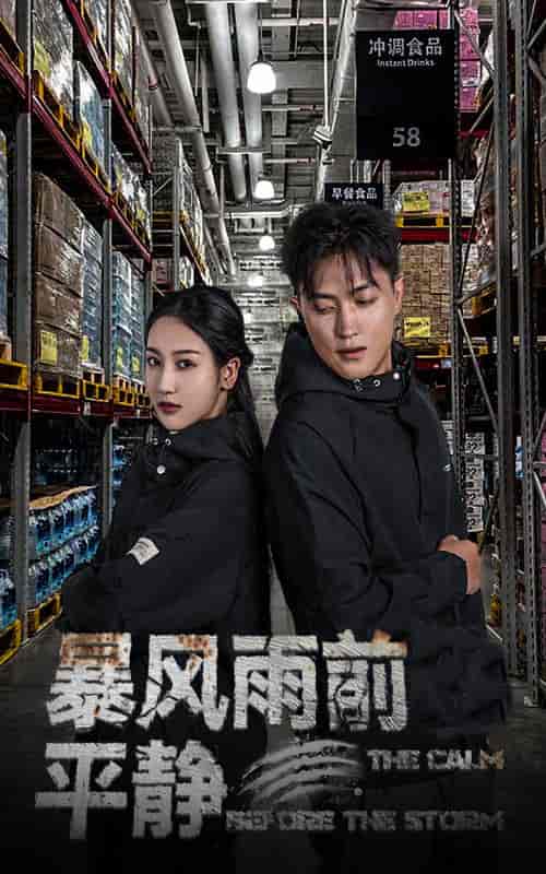 暴风雨前的平静（30集）-紫橙资源网