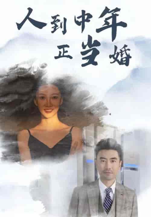 人到中年正当婚（81集全）-紫橙资源网